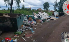 В Свердловском поселении ликвидировали незаконные свалки у площадок ТКО
