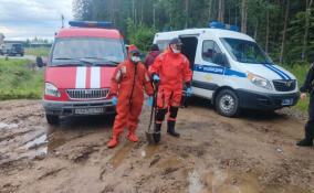 В Сертолово спасатели извлекли труп из труднодоступного места