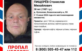 В Лупполово почти месяц ищут пропавшего мужчину