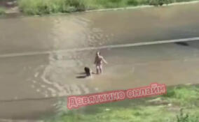 В Мурино дети искупались в огромной луже