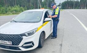 Во Всеволожском районе прошли дорожные рейды «Скорость не главное!»