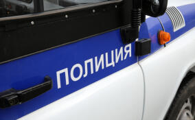 Восемнадцатилетний парень помог обокрасть мать своей подруги в Новом Девяткино