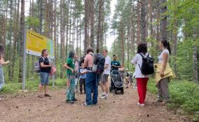 «ТурКлуб47» провел масштабный поход в Коккоревский заказник