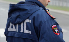 В Мурино будут судить мопедиста за наезд на полицейского