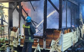 В «Садах имени Володарского» потушили полыхавшую дачу