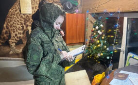 Во Всеволожске за убийство в гараже мужчине дали 8 лет колонии