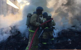 В Новом Девяткино случился большой пожар