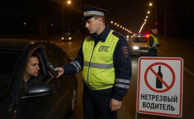 Во Всеволожском районе стартовала охота на нетрезвых водителей