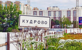 В Кудрово выберут лучший проект для высотки «Ленсити»