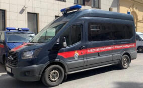 На мужчину завели дело за стрельбу по подросткам в Щеглово
