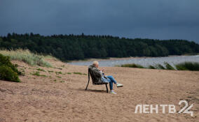 Во Всеволожском районе будет тепло и облачно