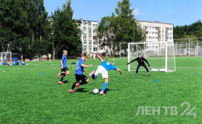 В поселке имени Морозова стартовал фестиваль дворового спорта