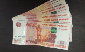 Во Всеволожске отсудили 576 тысяч рублей для пенсионера