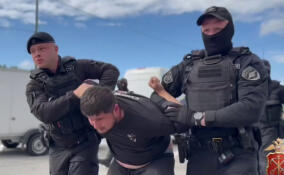 Полицейские задержали четырех нелегалов во время рейда