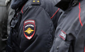 В Мистолово разыскивают любителя разбивать чужие машины