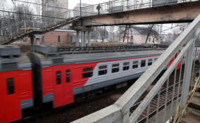 Житель Всеволожского района сядет на 3 года за дебош в электричке