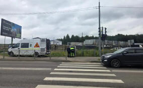 Возле новой школы в Янино-1 установят светофор