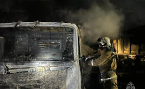 В Сертоловском поселке рано утром загорелась легковушка