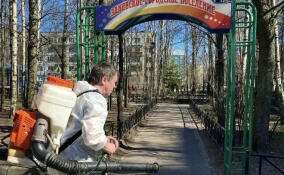 В Заневском поселении уничтожат клещей