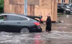 Дождевая вода затопила Кудрово
