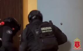 Полиция нашла соучастников вооруженного нападения возле Мурино