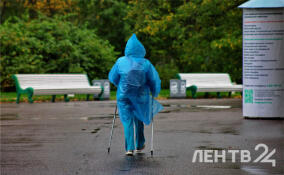 Во Всеволожском районе пройдут дожди