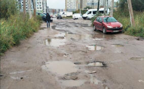 Горожане пожаловались на плохую дорогу между Мурино и Буграми