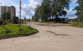 В Янино-1 началась реконструкция улицы Военный городок
