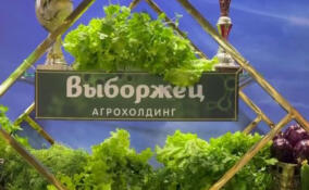 Всеволожский район представил свою продукцию на выставке «Агрорусь»