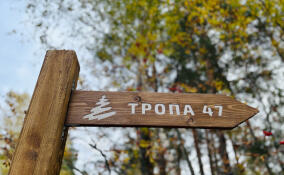 Во Всеволожском районе приводят в порядок семь экотроп