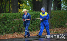 Во Всеволожском районе ожидаются дожди