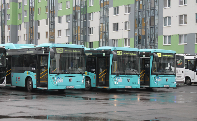 Автобусный маршрут №468 из Янино сократят с 3 октября