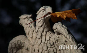 Всеволожск на выходных ожидает тепло, туманы и дожди