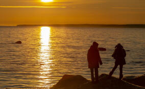 Школьников-активистов научат быть лидерами в своих коллективах