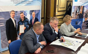 В Мурино разграничат участки под строительство обхода