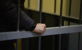 Житель Сярьгов пойдет под суд за убийство жены и хранение наркотиков