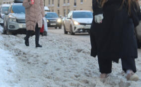 Всеволожский район вновь накроет снегопад