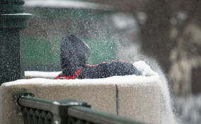 Сильный ветер со снегопадом ожидается на выходных во Всеволожском районе
