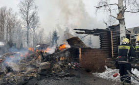В коттеджном поселке Всеволожского района сгорел дом